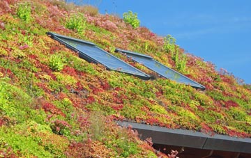 Threewaters living roof systems